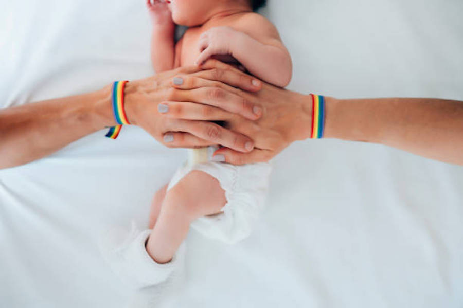 Two Women Linked Hands With A Pulse Pride And A Baby