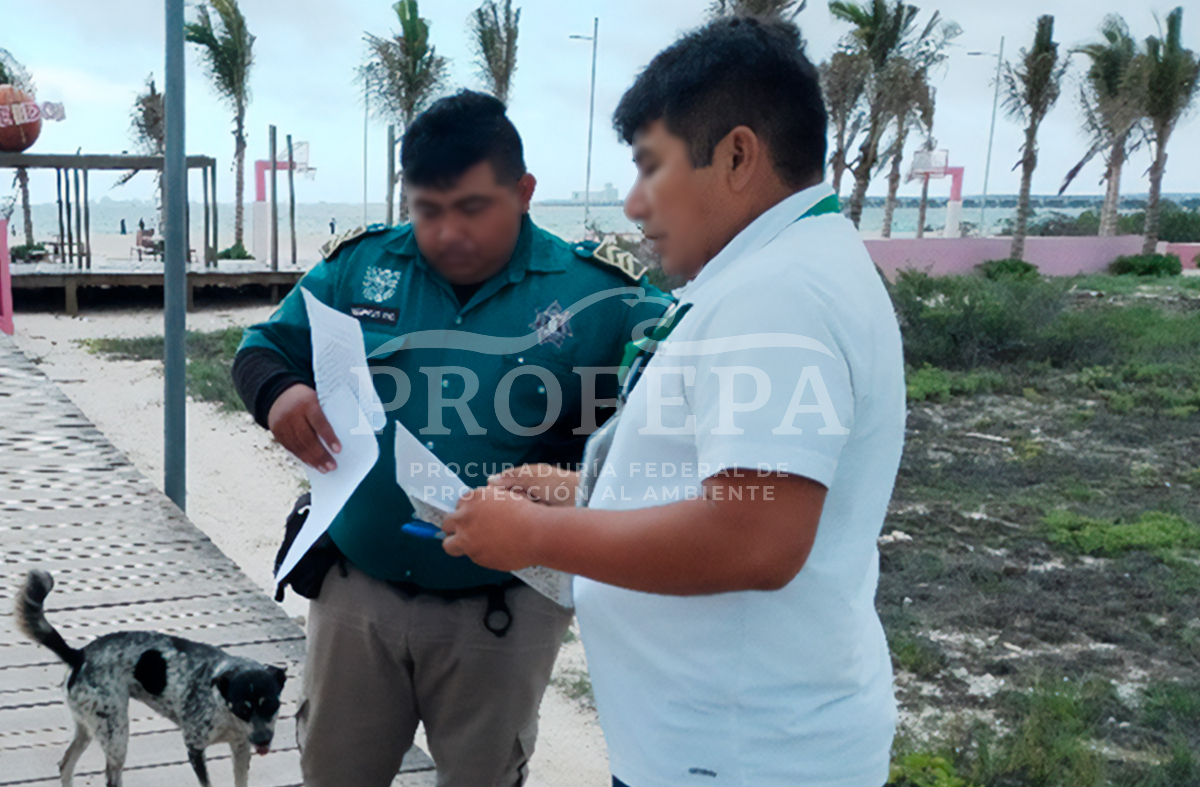 Clausuran Estatua Poseidon Profepa 1