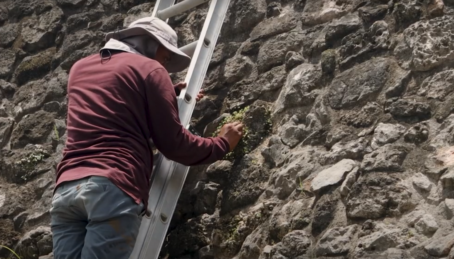 Personas De Comunidades Del Municipio De Temozón Tienen Una Opción Laboral Y Su Mano De Obra Calificada Será Requerida En Lo Subsecuente. Captura De Pantalla (1)