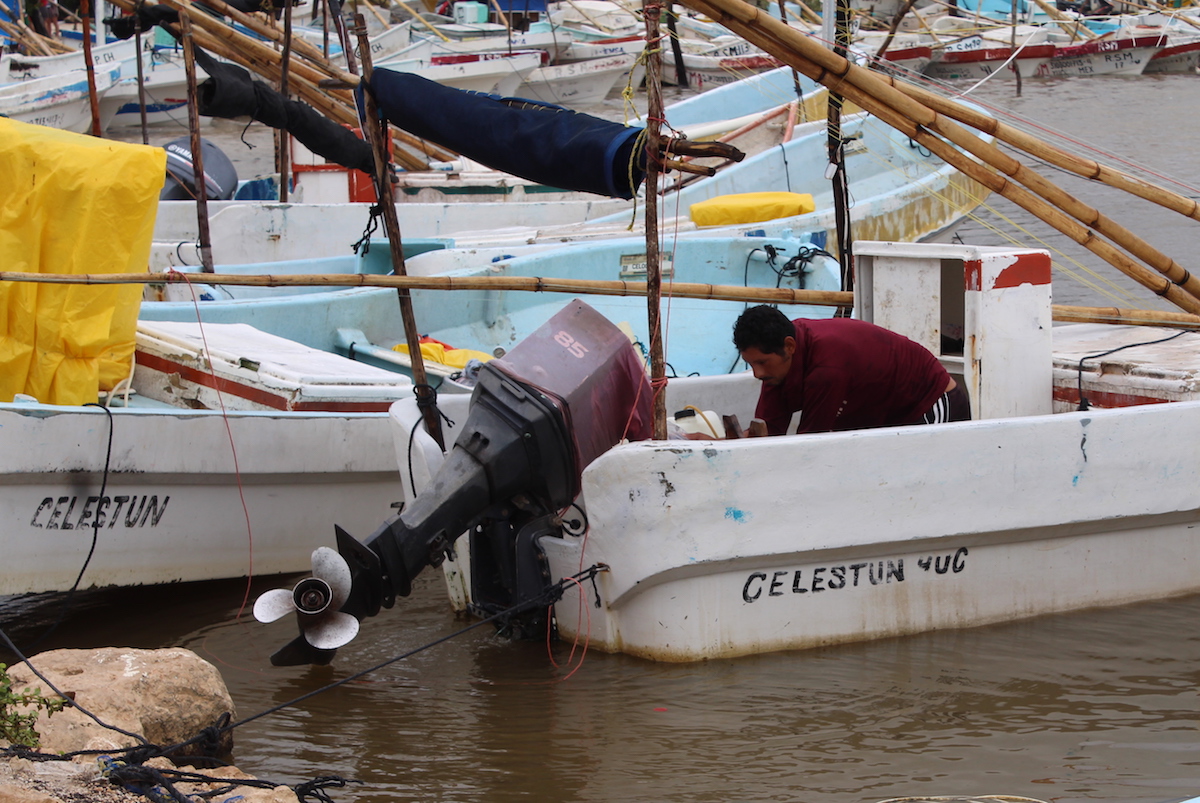 Pescador Celestun